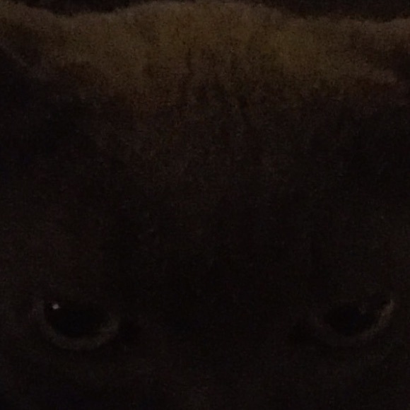 Meet your Posher, Natalie - Picture 1 of 1